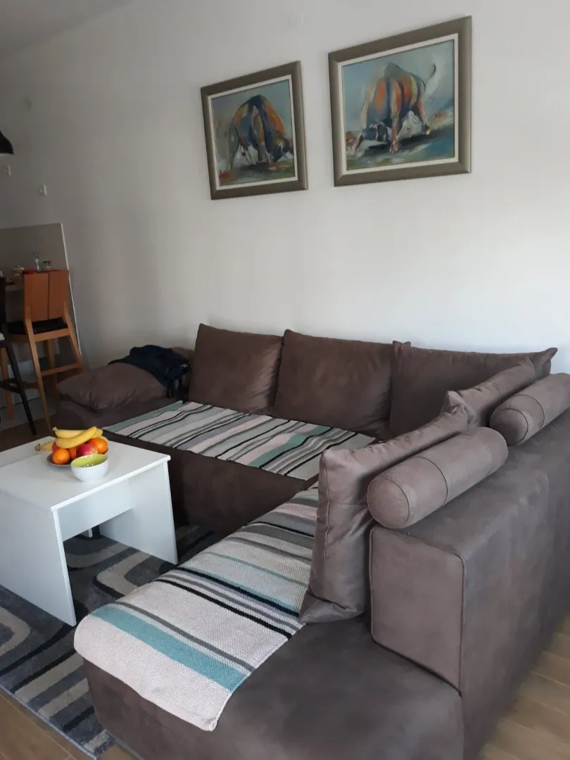 Rent, one bedroom apartment, 50m², City Kvart, Podgorica