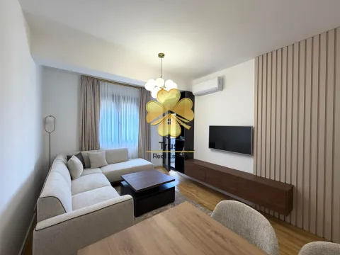 Izdavanje, jednosoban stan, 44m², Stari Aerodrom, Podgorica - image 3