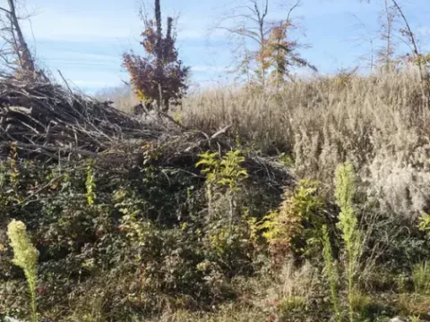 Sale, land lot, 1000m², Žirci, Kolašin - image 2