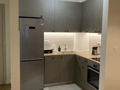 Izdavanje, jednosoban stan, 40m², Central Point, Podgorica - image 3