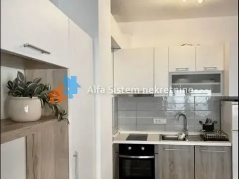 Rent, two bedroom apartment, 50m², Slavija, Vračar Sve Podlokacije - image 6