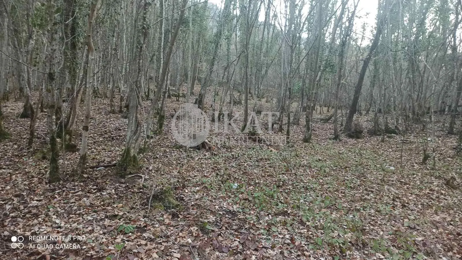 Prodaja, plac, 6500m², Bajina Bašta, Srbija