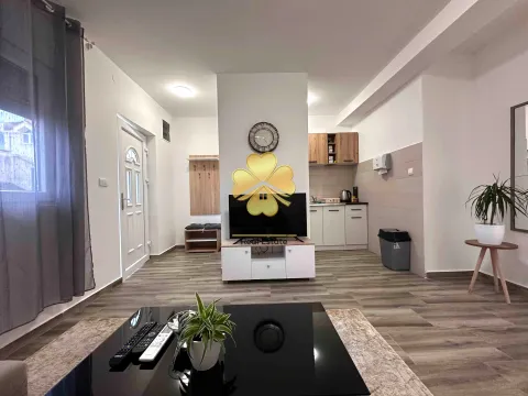 Izdavanje, jednosoban stan, 40m², Gornja Gorica, Podgorica - image 2