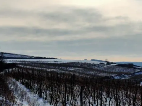 Prodaja, plac, 300m², Beočin, Srbija - image 6