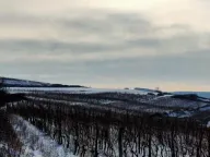 Prodaja, plac, 300m², Beočin, Srbija - image 6