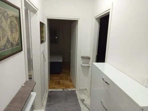 Izdavanje, jednosoban stan, 44m², Tuški Put, Podgorica - image 7