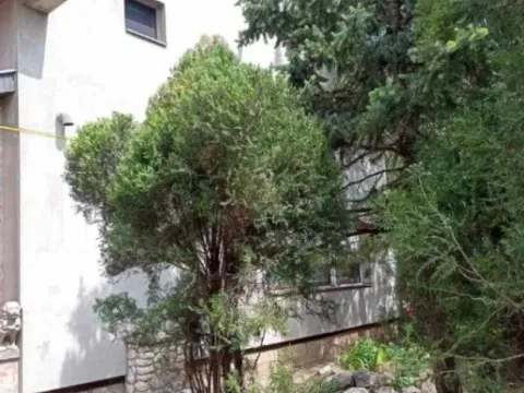 Sale, house, 200m², Novi Bečej, Zrenjanin - image 7