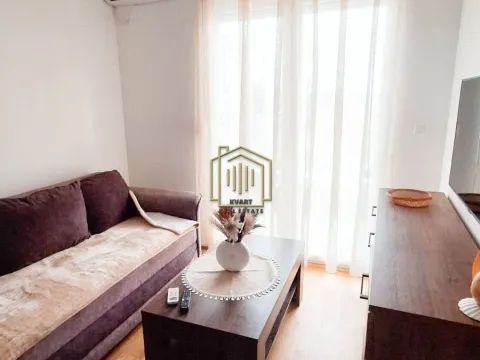 Rent, one bedroom apartment, 45m², Stari Aerodrom, Podgorica - image 6