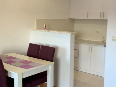 Izdavanje, jednosoban stan, 45m², Stari Aerodrom, Podgorica - image 2