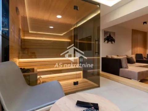 Izdavanje, dvosoban stan, 55m², Južni Bulevar, Vračar Sve Podlokacije - image 16