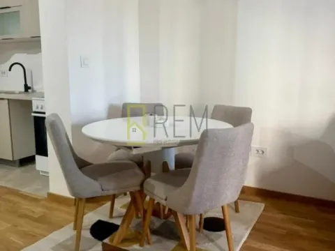 Izdavanje, jednosoban stan, 43m², Stari Aerodrom, Podgorica - image 3