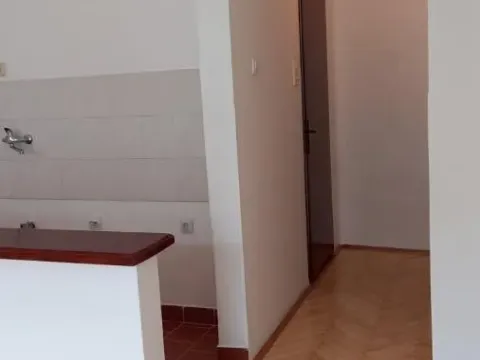 Izdavanje, garsonjera, 25m², Grbavica, Novi Sad Sve Podlokacije - image 2