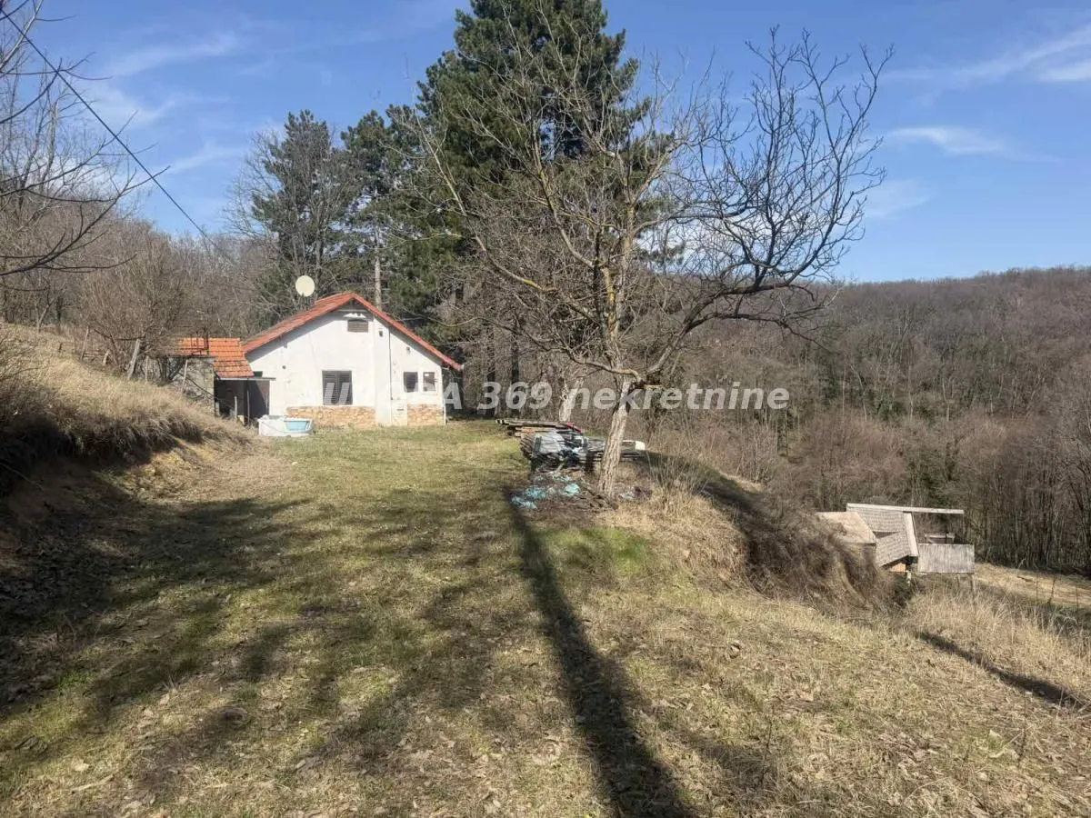 Prodaja, plac, 11100m², Irig, Srbija