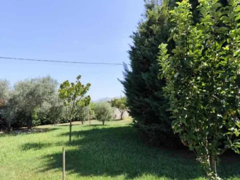 Sale, house, 205m², Tuzi, Podgorica - image 4