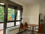 Rent, house, 300m², Banovo Brdo, Beograd - image 6