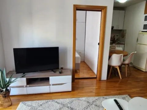 Izdavanje, jednosoban stan, 41m², Ljubović, Podgorica - image 9