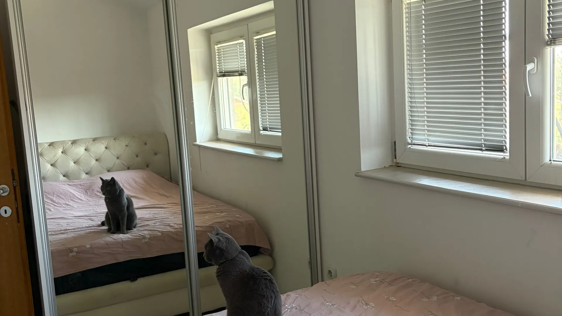Sale, two bedroom apartment, 60m², Krnjaca, Palilula Sve Podlokacije