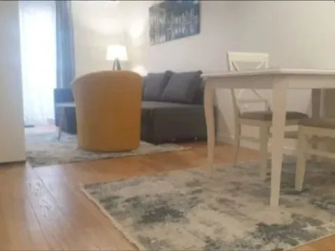 Izdavanje, jednosoban stan, 43m², Central Point, Podgorica - image 6