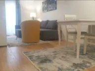 Izdavanje, jednosoban stan, 43m², Central Point, Podgorica - image 6