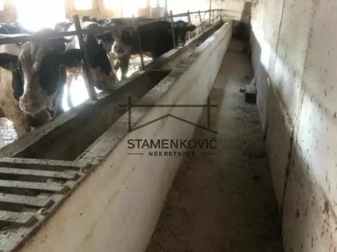 Prodaja, kuća, 124m², Ilinci, Šid - image 3