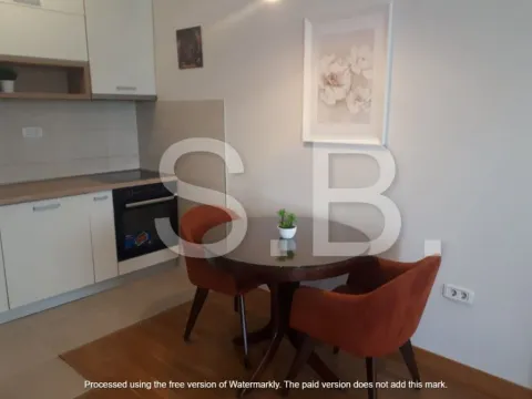 Izdavanje, jednosoban stan, 42m², City Kvart, Podgorica - image 4