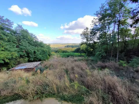 Prodaja, plac, 5000m², Irig, Srbija - image 21