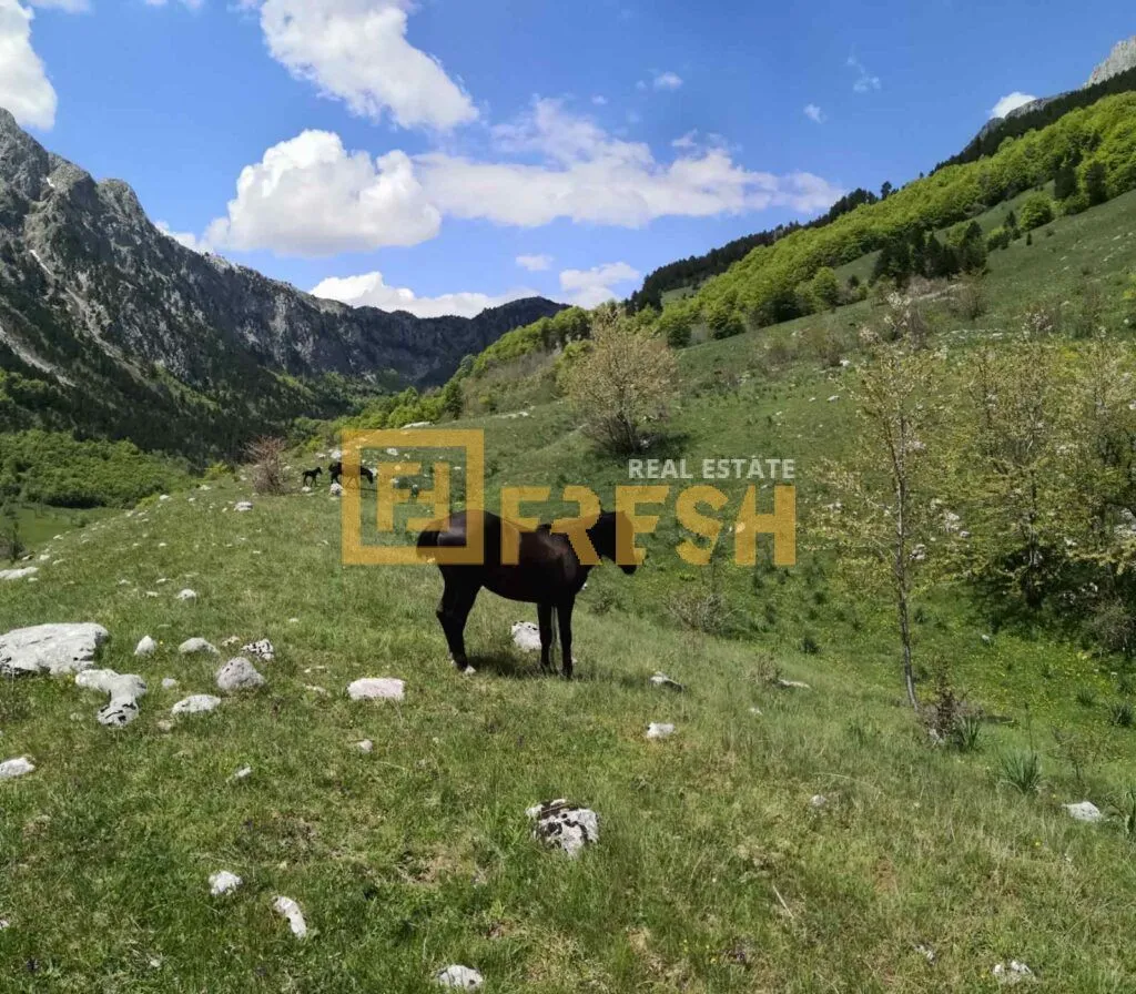 Prodaja, plac, 32000m², Kolašin, Crna Gora