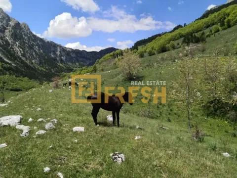 Prodaja, plac, 32000m², Kolašin, Crna Gora - image 4