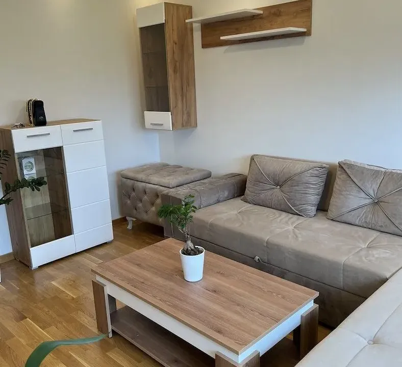 Izdavanje, jednosoban stan, 37m², Jugovićevo, Novi Sad Sve Podlokacije