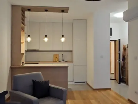 Rent, one bedroom apartment, 50m², Zabjelo, Podgorica - image 3