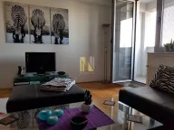 Izdavanje, dvosoban stan, 51m², Centar, Novi Sad - image 4