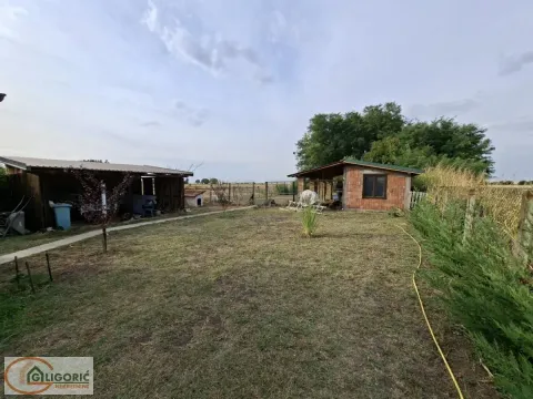 Pogled na prostrano dvorište sa pomoćnim objektima i zelenilom. - image 5