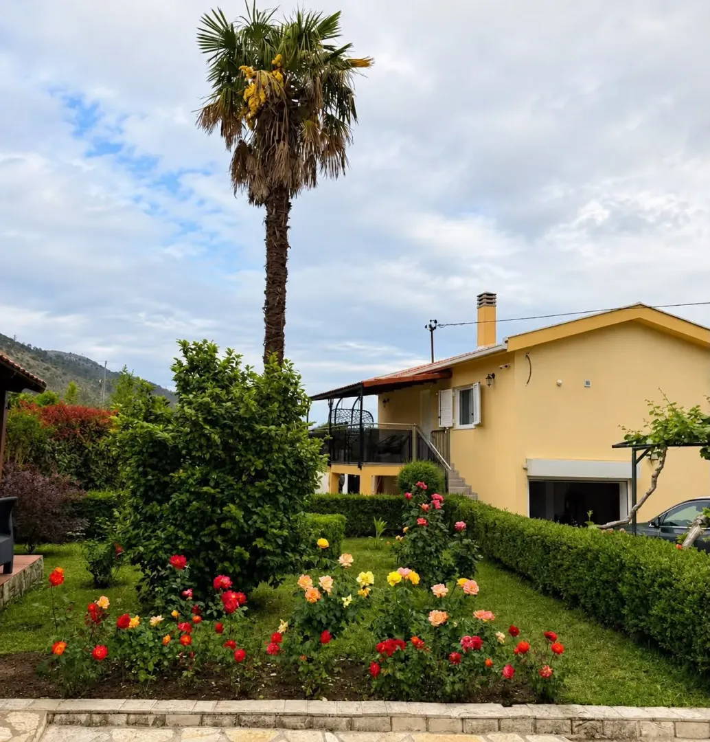 Family house yard with a landscaped garden, palm tree, and roses.