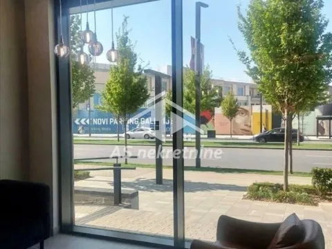 Izdavanje, dvosoban stan, 56m², Savski Venac, Beograd - image 13