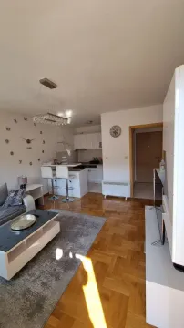Rent, one bedroom apartment, 44m², Stari Aerodrom, Podgorica - image 7