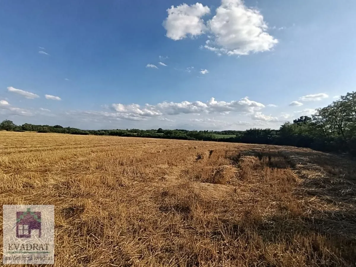 Prodaja, plac, 26300m², Trstenica, Obrenovac