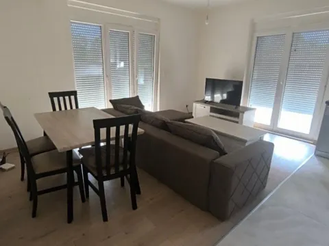 Izdavanje, jednosoban stan, 56m², Stari Aerodrom, Podgorica - image 8