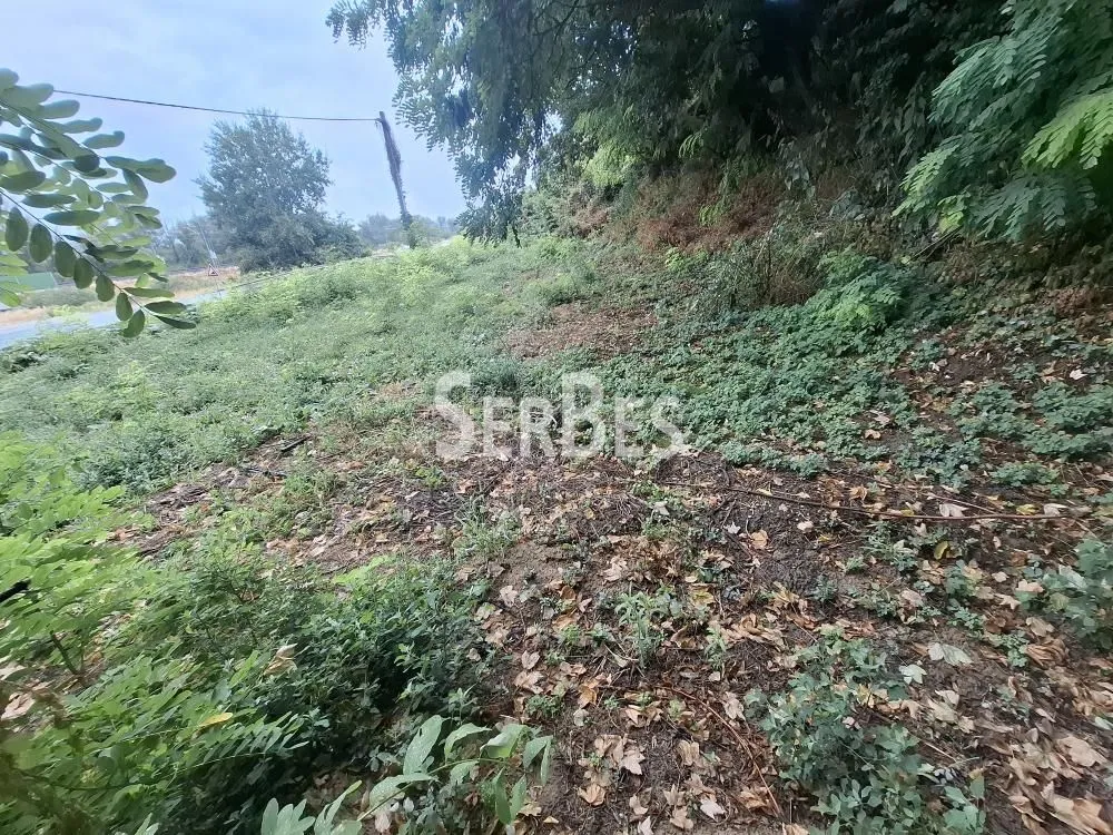 Prodaja, plac, 591m², Sremski Karlovci, Novi Sad