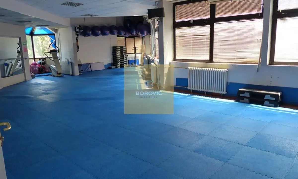 Sale, office space, 273m², Banovo Brdo, Beograd