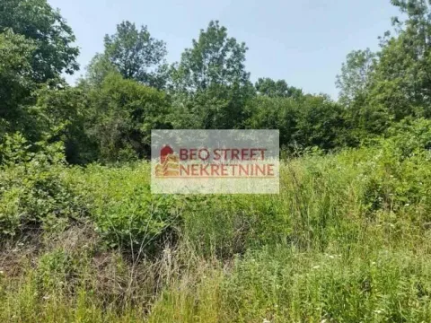 Sale, land lot, 101m², Petrovac na Mlavi, Srbija - image 4