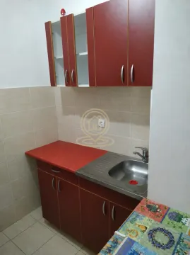 Rent, studio apartment, 25m², Grbavica, Novi Sad Sve Podlokacije - image 4