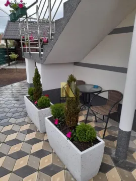 Landscaped yard with a paved walkway, plant pots, and outdoor seating furniture. - image 4