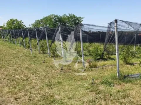 Prodaja, plac, 8874m², Nemenikuće, Sopot - image 6