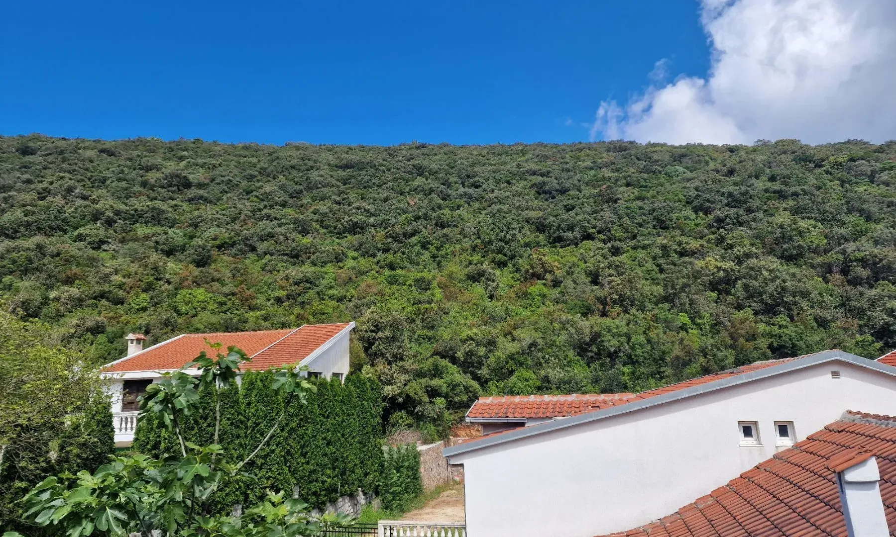 Prodaja, plac, 3585m², Krimovica, Kotor