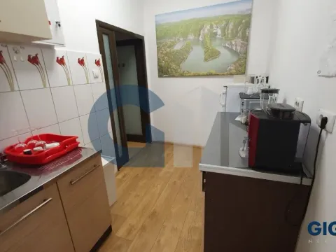 Izdavanje, poslovni prostor, 252m², Stari Grad, Beograd - image 11