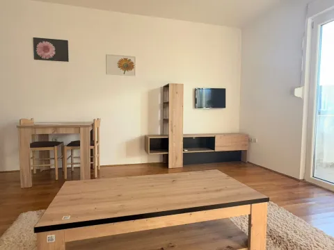 Izdavanje, jednosoban stan, 33m², Zagorič, Podgorica - image 3