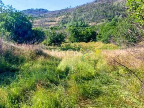 Prodaja, plac, 480000m², Brestice, Nikšić - image 2