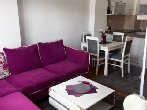 Izdavanje, jednosoban stan, 43m², Zabjelo, Podgorica - image 7