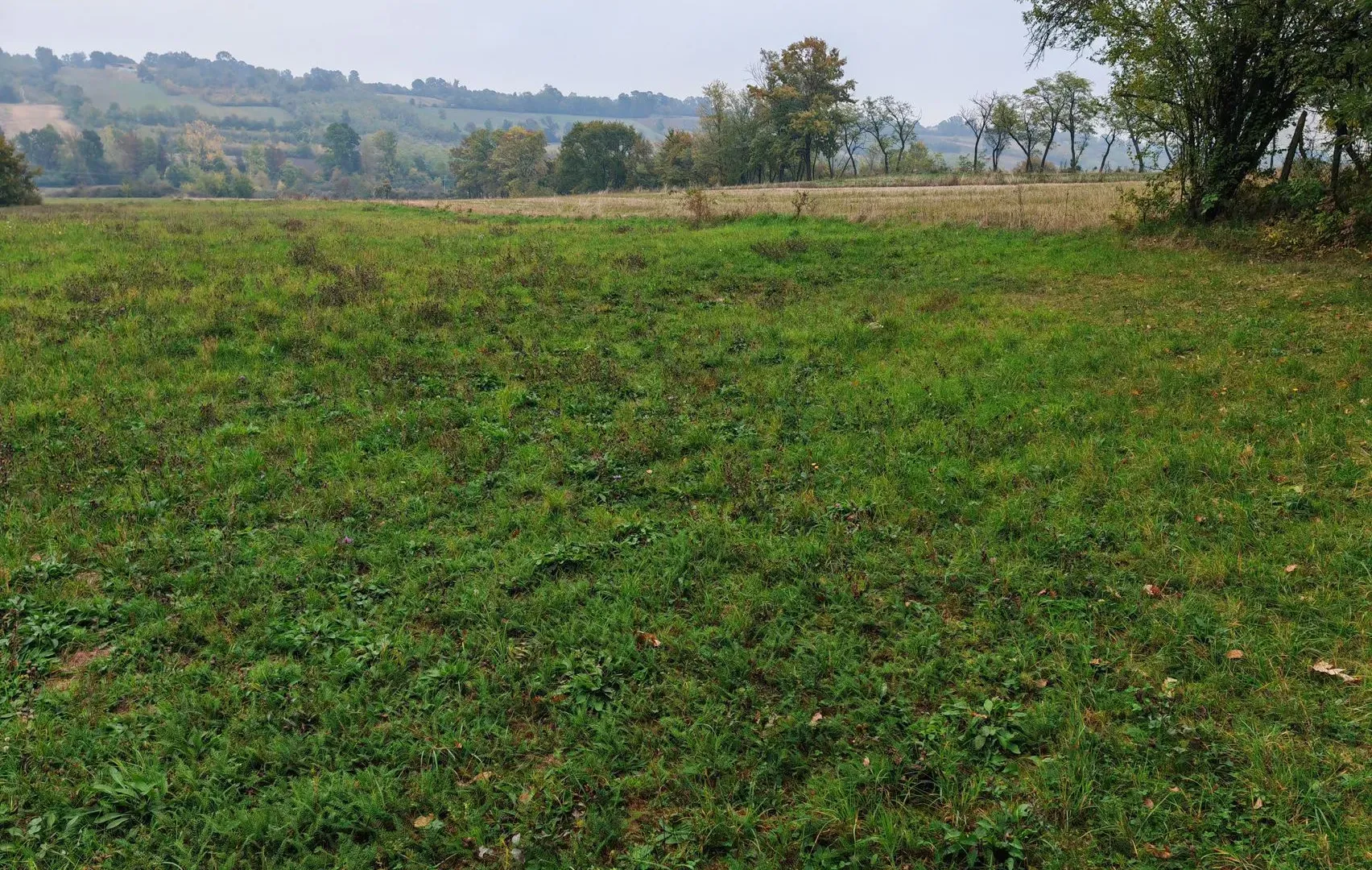Sale, land lot, 33900m², Velika Ivanča, Mladenovac
