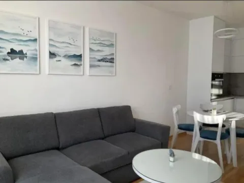 Izdavanje, jednosoban stan, 44m², Bečići, Budva - image 8